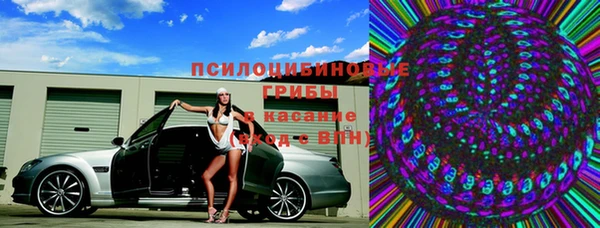 ГАЛЛЮЦИНОГЕННЫЕ ГРИБЫ Арсеньев