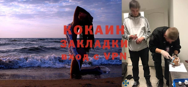 ГАЛЛЮЦИНОГЕННЫЕ ГРИБЫ Арсеньев